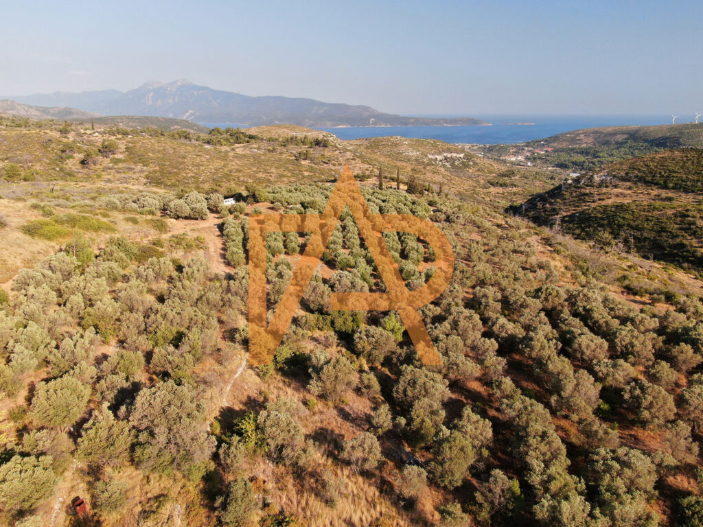 Plot of land in Zervos area for sale
