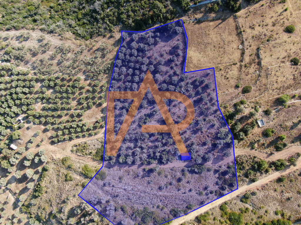 Plot of land in Zervos area for sale