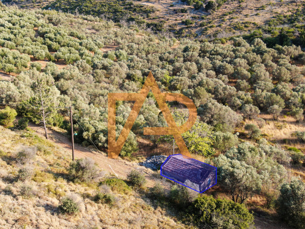 Plot of land in Zervos area for sale