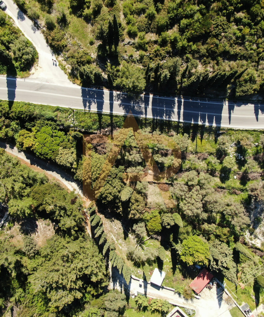 Dji 0202jpg