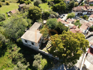Dji 0210