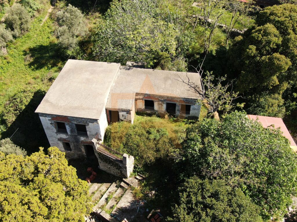 Dji 0216
