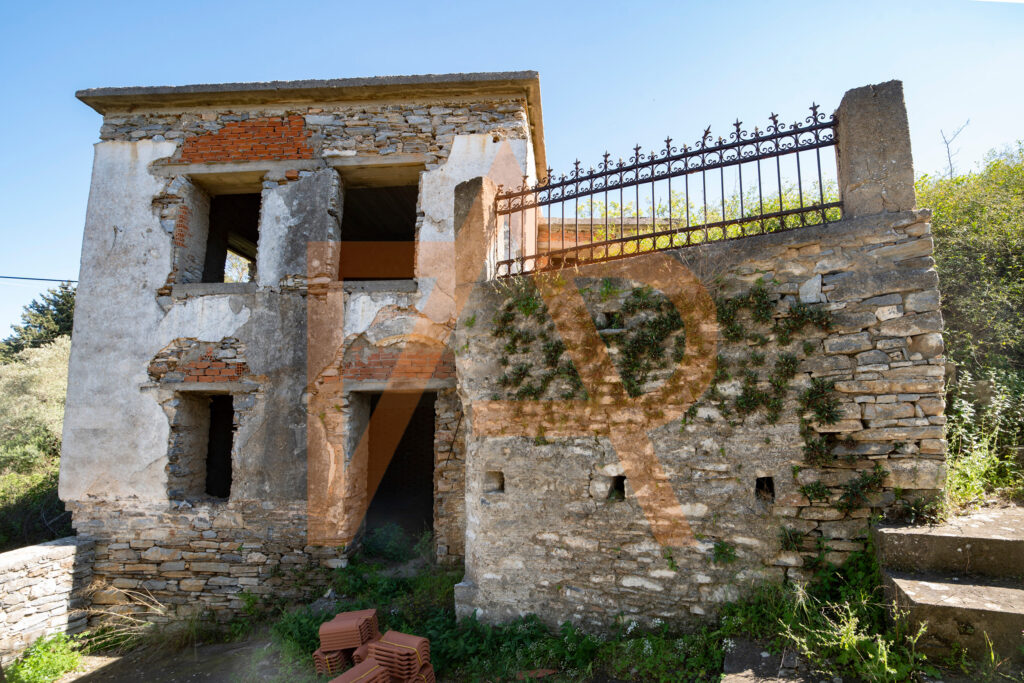 Dsc 0692μ 2500