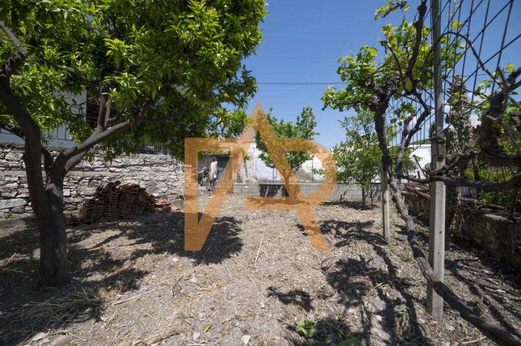 Dsc 0920μ 2500