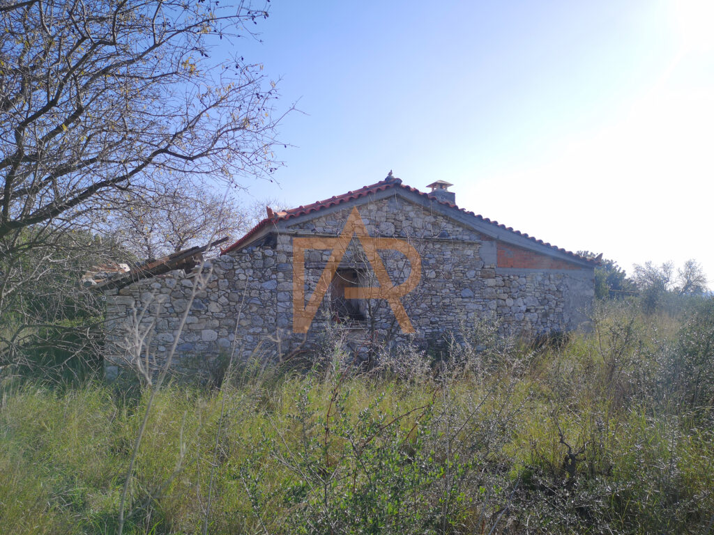 Img 20230124 125254