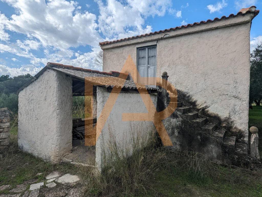 Pxl 20231216 094442387 1