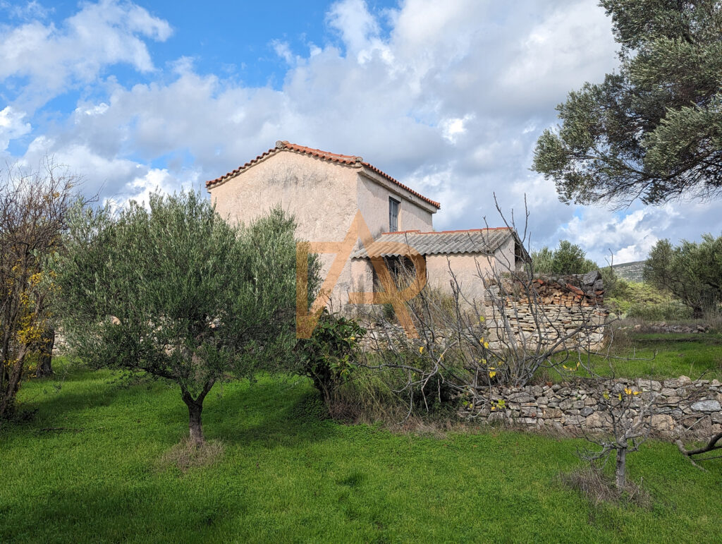 Pxl 20231216 094900083