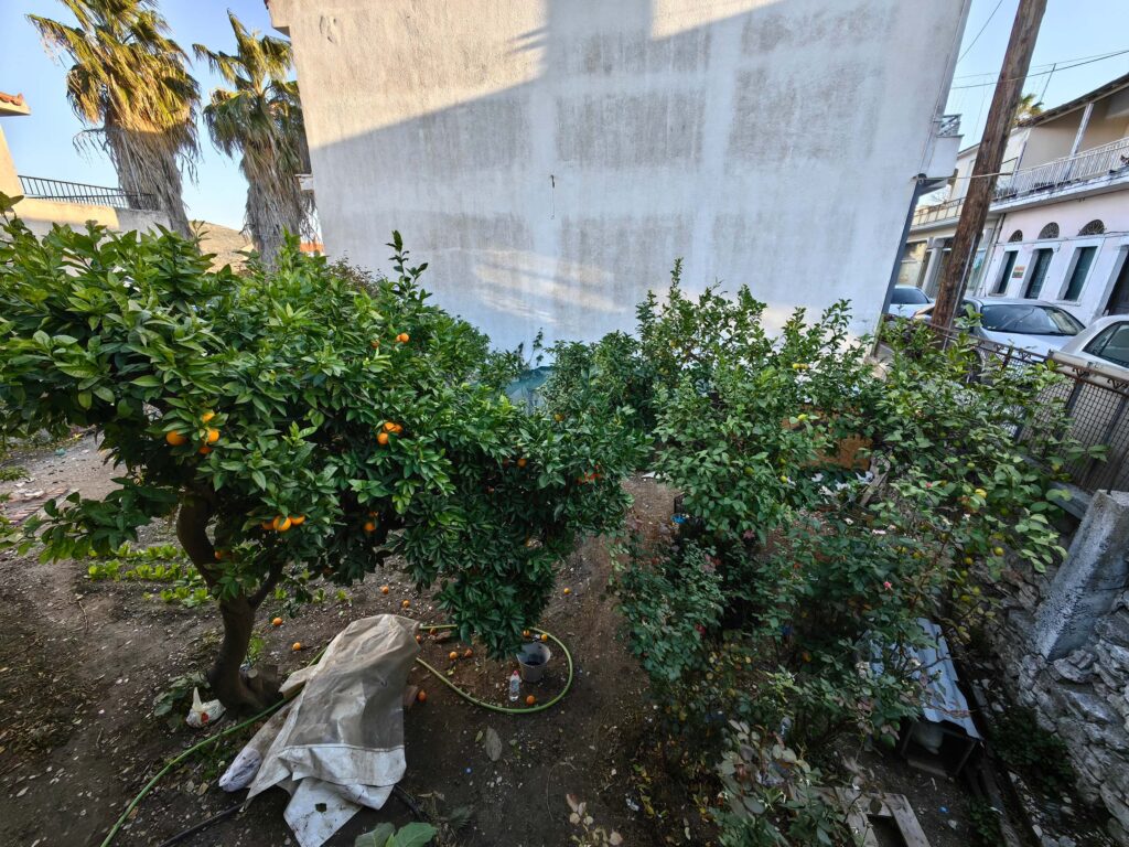 Img 20241127 154431