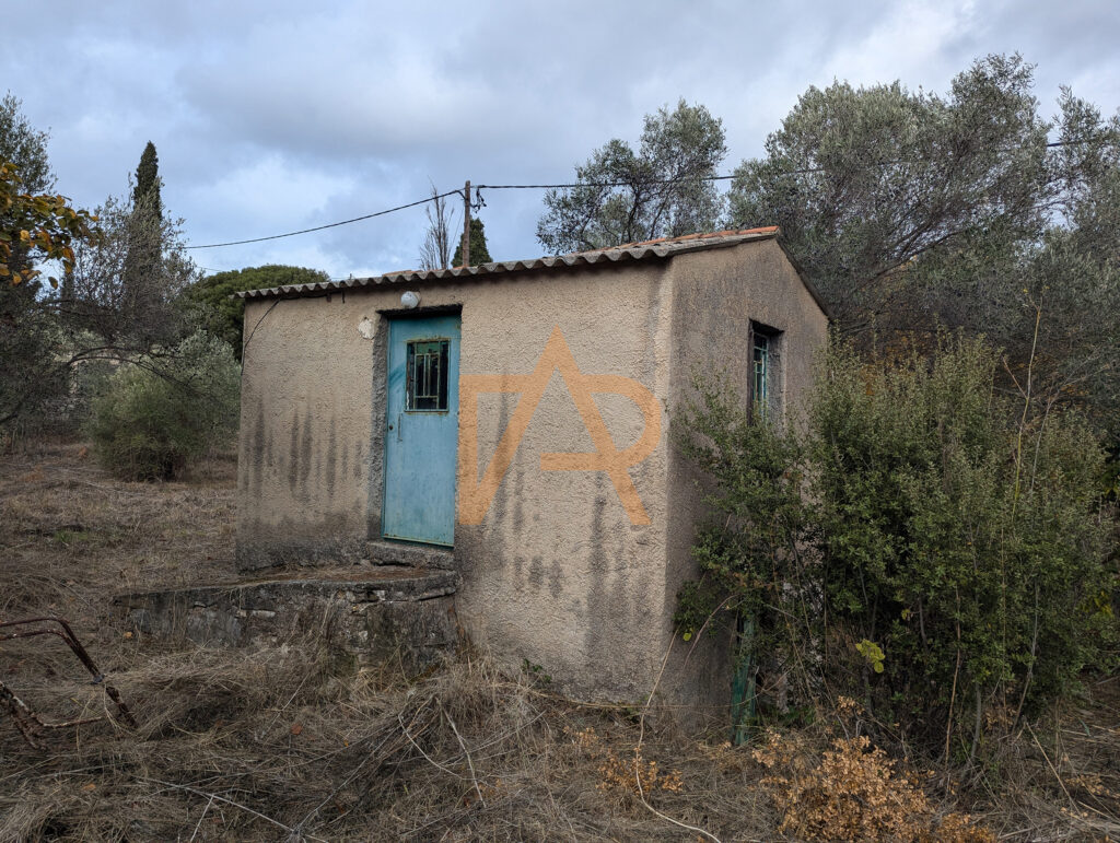 Pxl 20241121 110703868