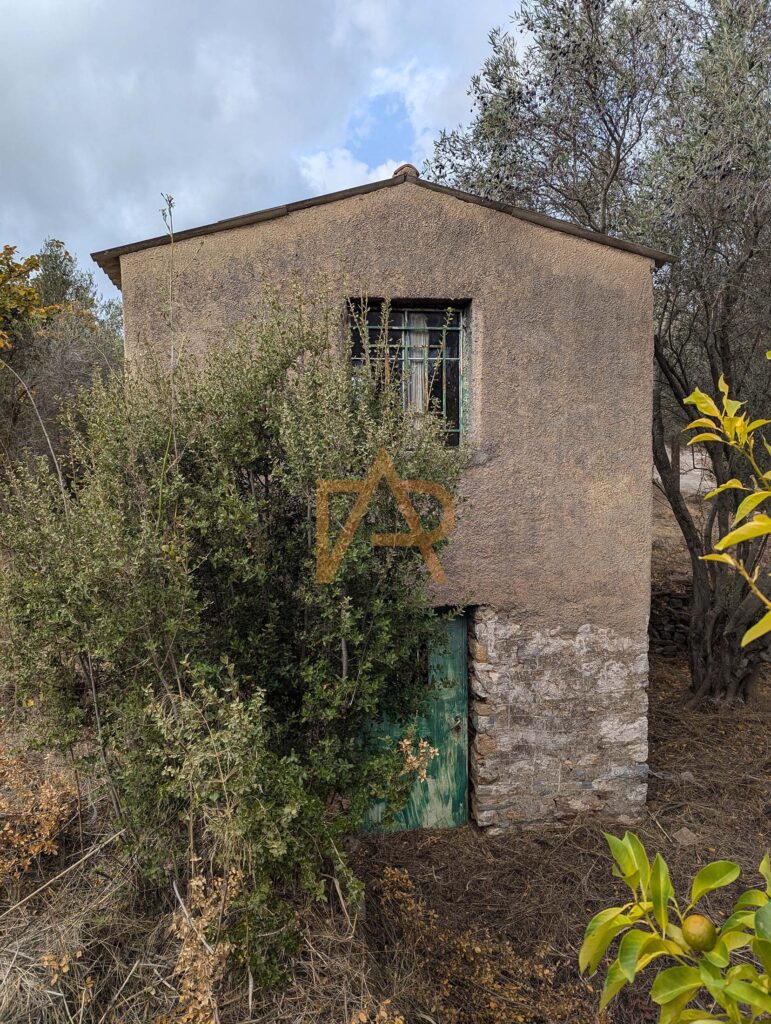 Pxl 20241121 110736320sa