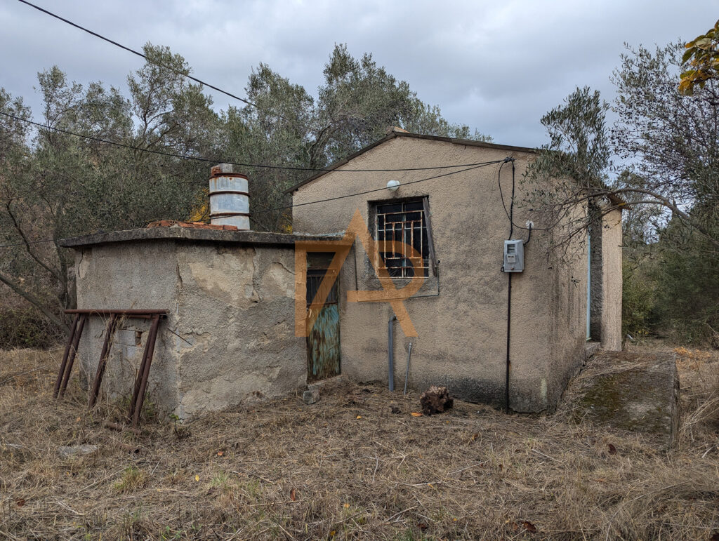 Pxl 20241121 110816071