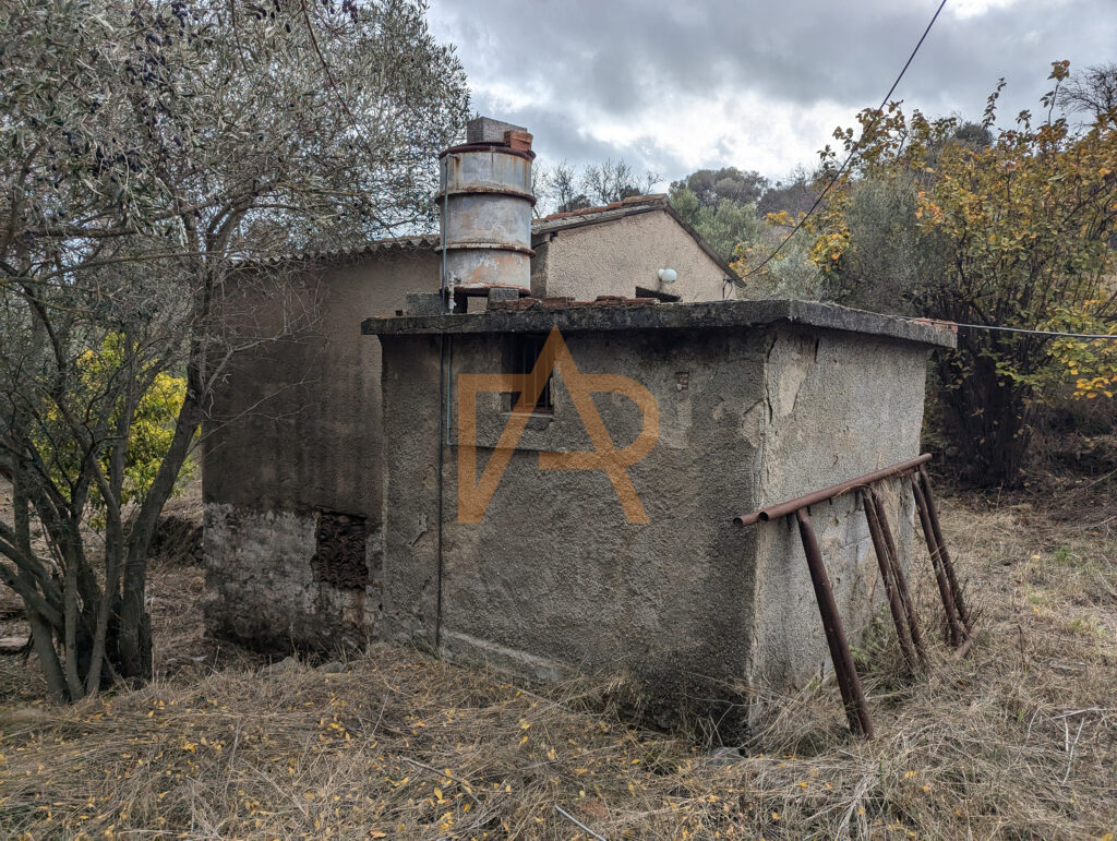 Pxl 20241121 110836468