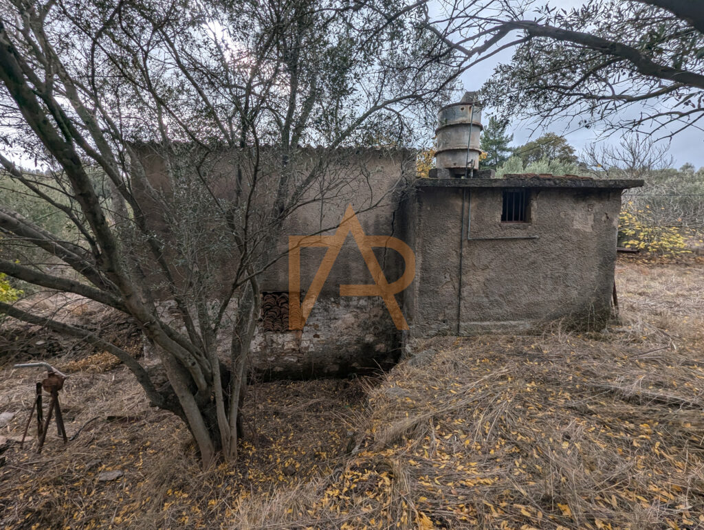 Pxl 20241121 110855383