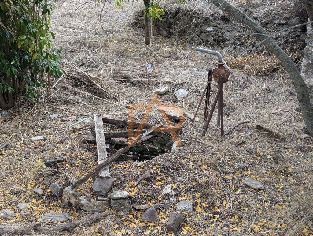 Pxl 20241121 110904766sa