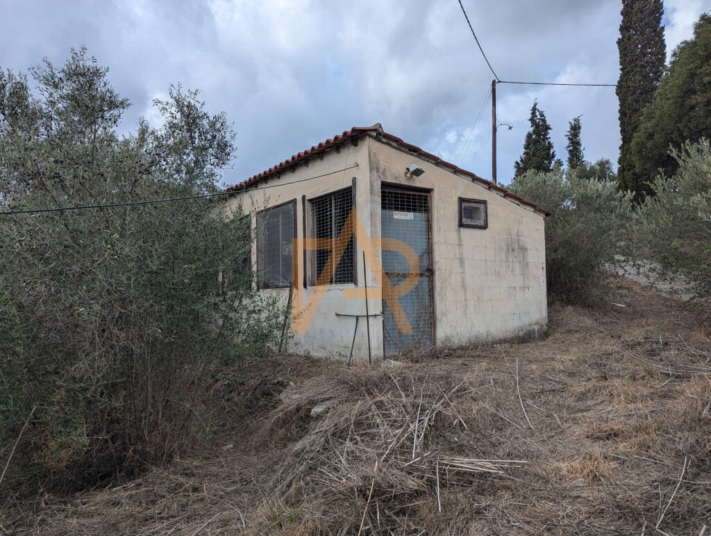 Pxl 20241121 111044907