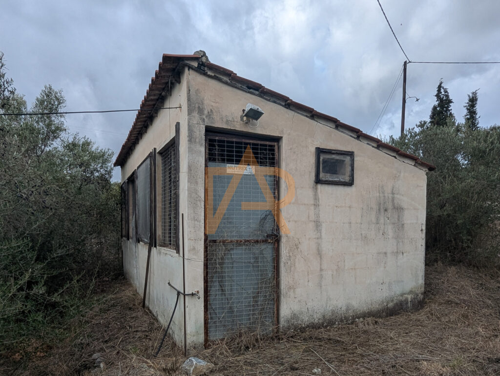 Pxl 20241121 111053462