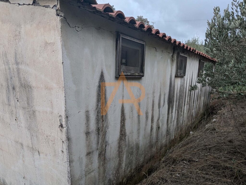 Pxl 20241121 111103940sa