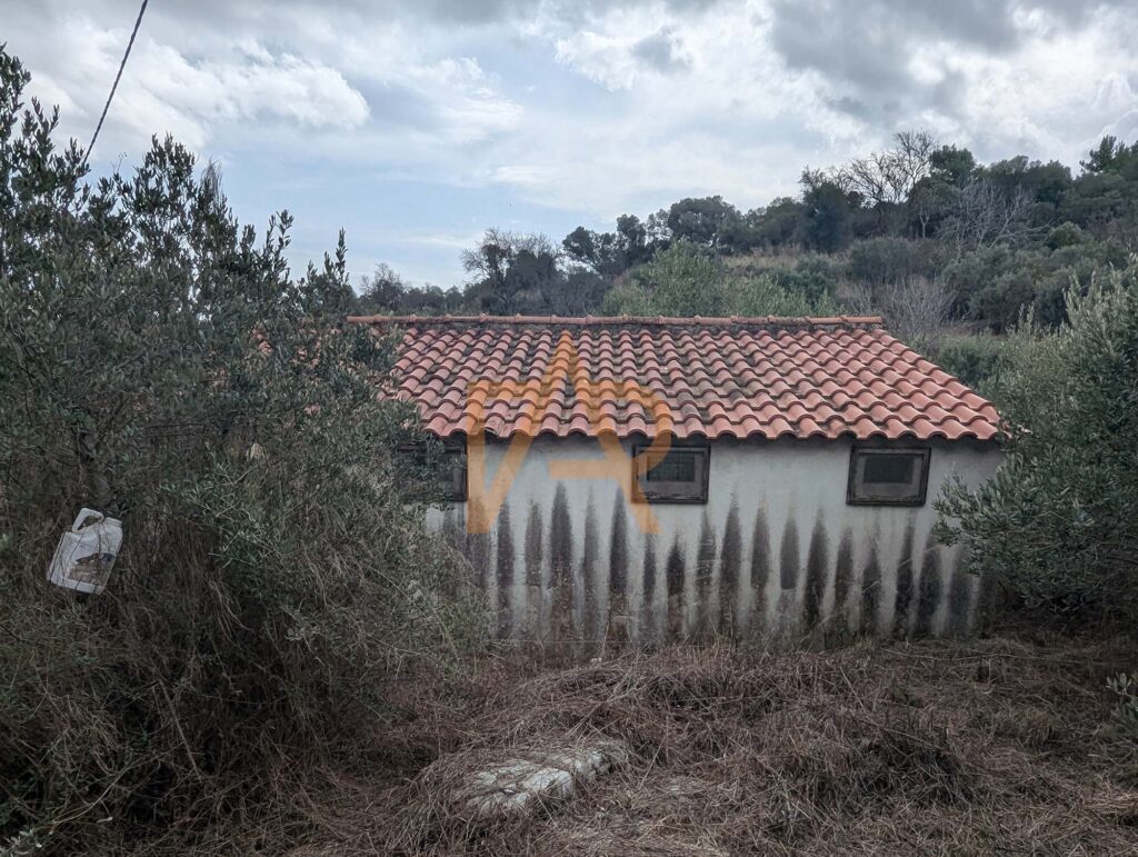 Pxl 20241121 111115058sa