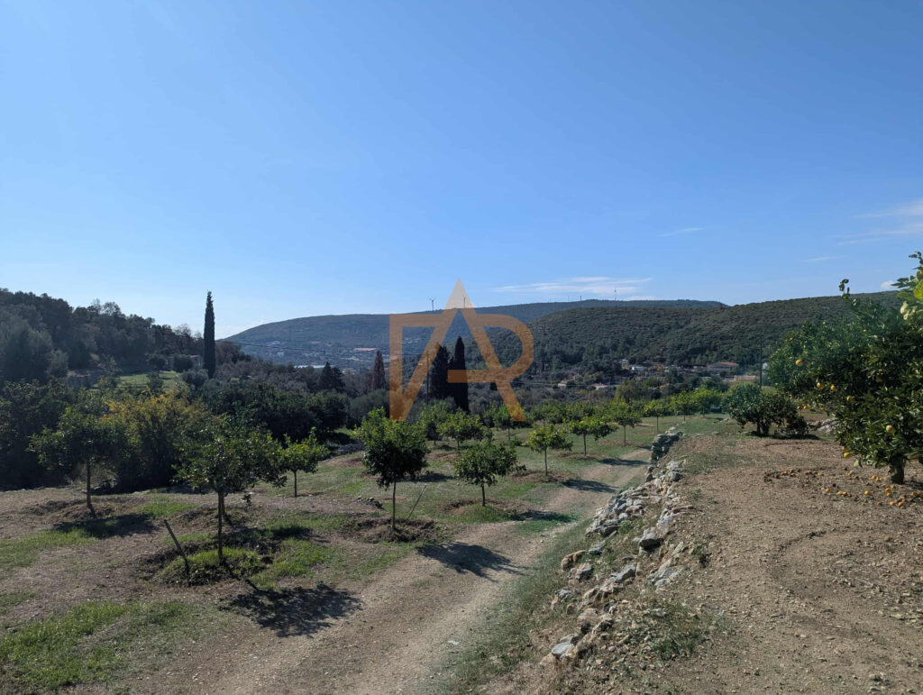 0c9bf21f A112 4872 Bbde 860cdcd33f6b