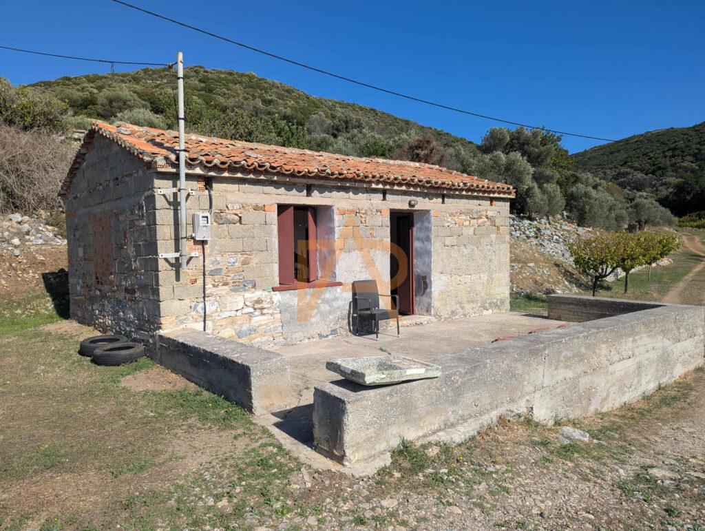 9908983b 333b 42ef 8d76 5f40689fa0df