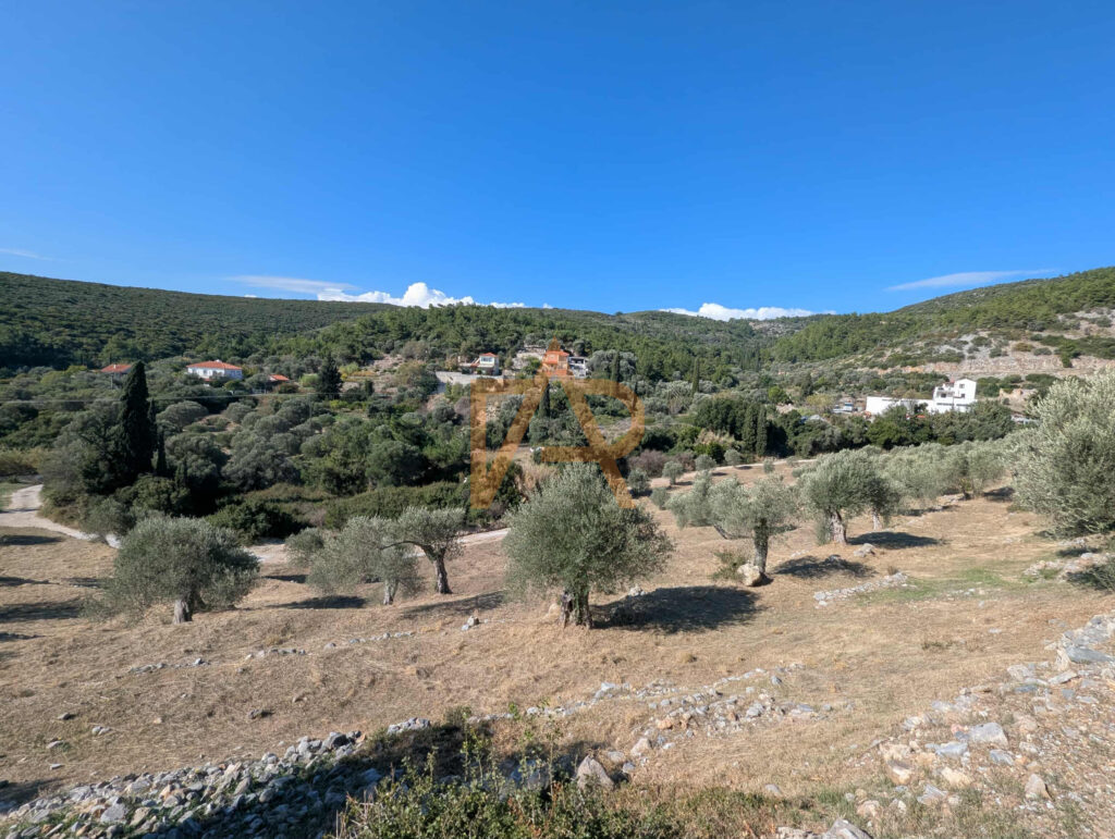 C079d738 0d08 448d A253 35ac9d465c87