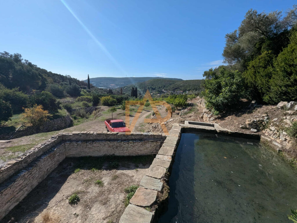 D8673e58 Fd98 4f6c 927a Ca296fcf70ff 1