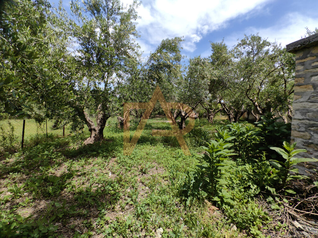 Img 20260519 120114