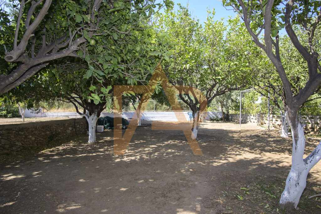 Dsc 0090m