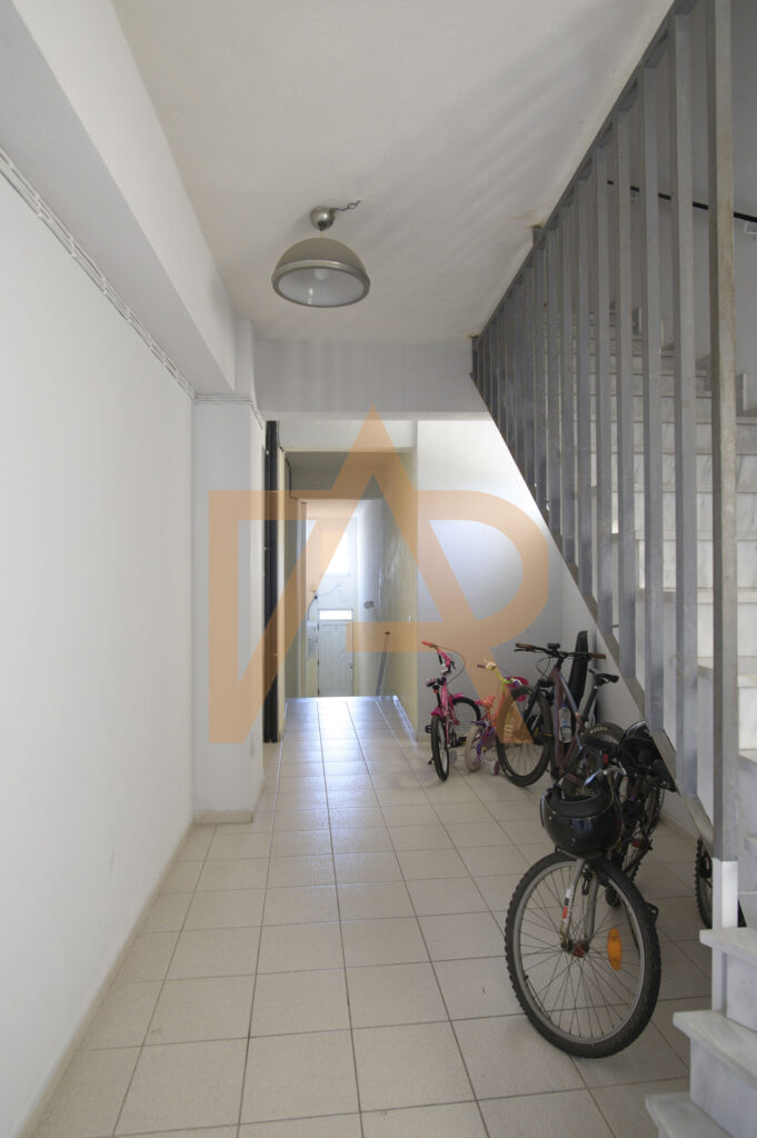 Dsc 8665m